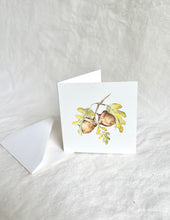 Acorn