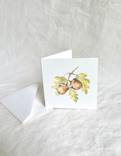 Acorn