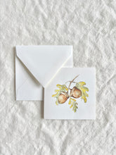 Acorn