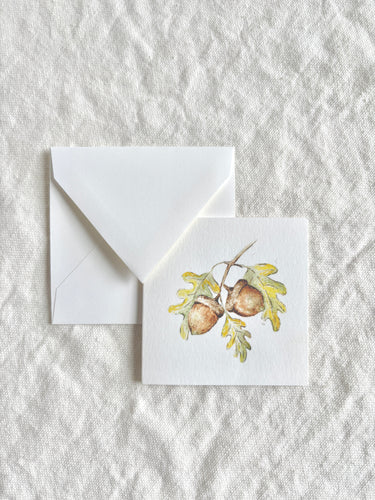 Acorn