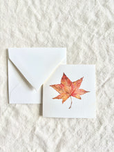 Maple Leaf