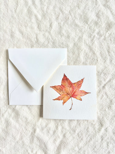 Maple Leaf