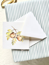 Acorn