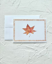 Maple Leaf