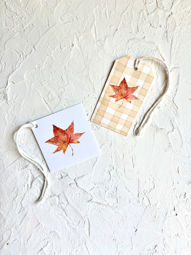 Maple Leaf