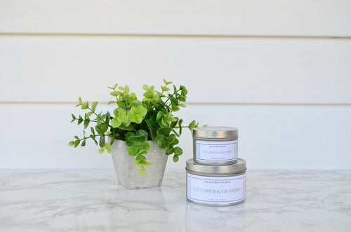 Cucumber Cilantro