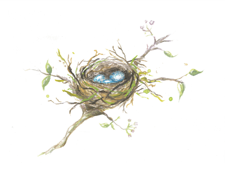 Bird's Nest Watercolor Print